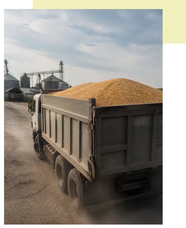 Перевозка сельхозпродукции навалом в Барнаул по цене от 3035 р. | Агросервис-Брн